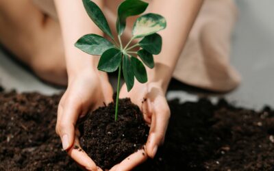 Intention Setting For Spring: Planting Seeds of Growth