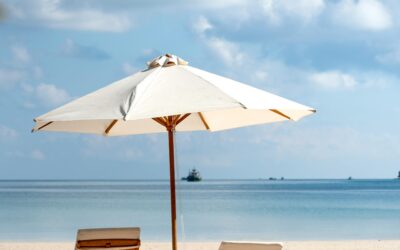 Reclaiming Body Trust: Letting Go of the “Summer Body” Myth